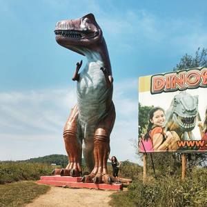 Meet your Posher, Kyleigh